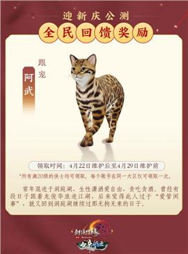 天龙八部私服不能存取